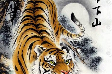 下山虎图片