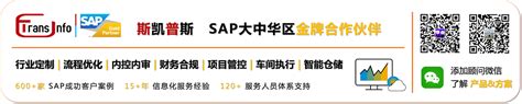 上海SAP，广州SAP，深圳SAP，无锡SAP实施_SAP ERP系统实施服务_SAP金牌合作伙伴TransInfo