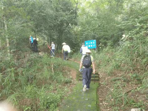 揭西李望嶂景区来了一群人，手持工具在山沟里、道路旁捡垃圾_活动