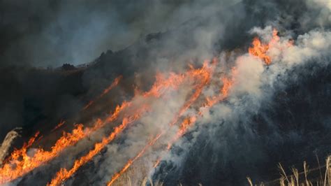 全世界都在关心亚马逊的大火，但非洲这场大火也烧得不小