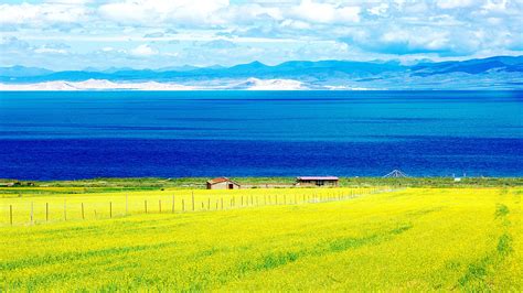 青海湖最佳旅游月份攻略（夏季热门旅游景点之青海湖旅游攻略 低音号免费语音导游） | 说明书网
