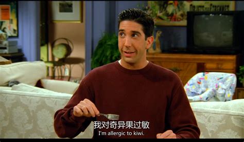 老友记 Friends 1-10季 中英字幕–整体非常棒，每一集都搭配的很好。 – 光影使者