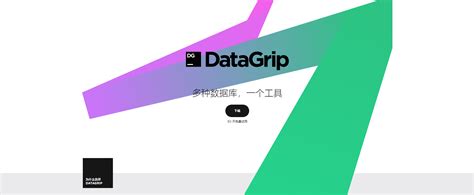 【软件仓库】JetBrains DataGrip 2021.2.4 数据库管理开发工具中文免费版-南逸博客