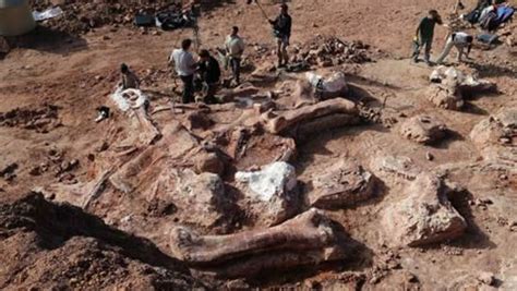 2021，吉林振兴ING丨在恐龙化石中重回白垩纪-中国吉林网