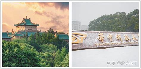 武汉大学背景_武汉大学摄影图片_武汉大学壁纸_摄图网
