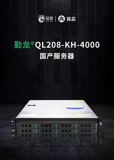 全国产 高可靠 舜源科技推出全新2U机架式服务器 - 兆芯