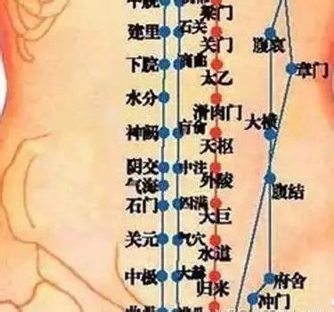 冲脉的准确位置图图片