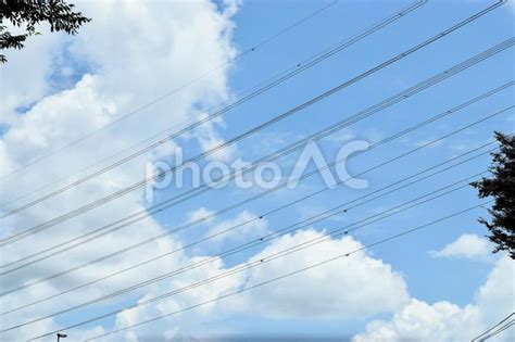 電線、青空、雲、木。 - No: 28066150｜写真素材なら「写真AC」無料（フリー）ダウンロードOK