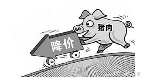 “两节”期间猪肉价格稳定，全国猪肉批发市场均价下降18.15% - 知乎