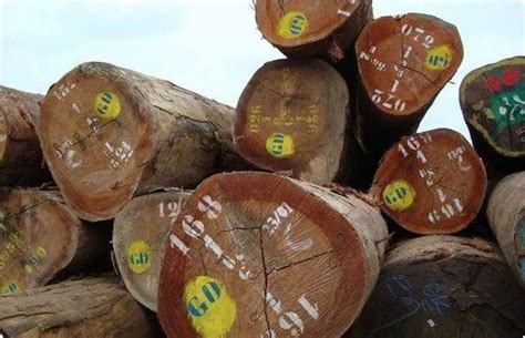 10种最常见的硬木木材类型_行业资讯_木头云