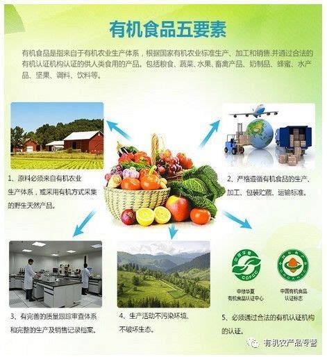 中国有机果蔬供应商