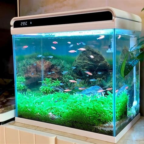 森森 鱼缸水族箱鱼缸灯增氧水泵造景超白玻璃金鱼缸 48cm长智能 ...