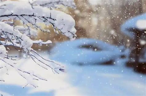 50条关于雪的美好诗句：砌下落梅如雪乱，拂了一身还满