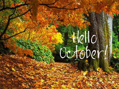 Hello October Collage Pictures, Photos, and Images for Facebook, Tumblr ...