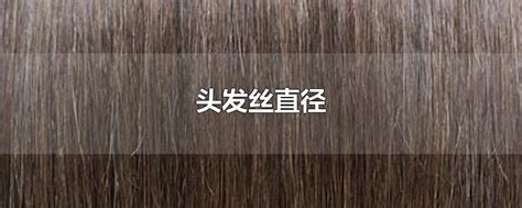 直径相当于5根头发丝，广西最细钢丝在柳钢诞生！_搜狐汽车_搜狐网