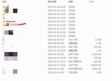 ns大气层金手指文件存放路径，nsswitch大气层使用金手指教程（ 升级最新的系统方法）_犇涌向乾