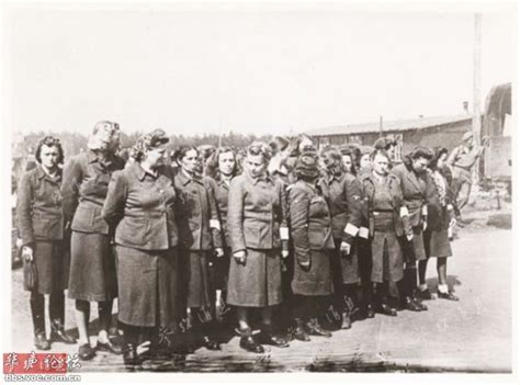德媒揭秘纳粹女兵：二战后期沦为“军官的床垫”_手机新浪网