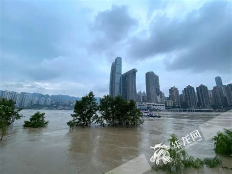 重庆发布洪水黄色预警 嘉陵江洪峰过境 - 重庆日报