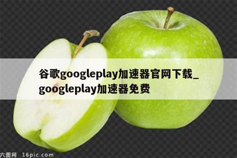 谷歌googleplay加速器官网下载_googleplay加速器免费 - google相关 - APPid共享网