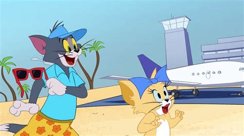 新猫和老鼠第三季 第20集-动漫少儿-最新高清视频在线观看-芒果TV