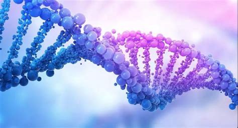 SMN1 基因外显子缺失检测试剂盒 荧光 PCR 法