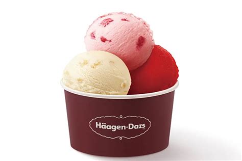 哈根达斯（Haagen-Dazs）比利时巧克力口味大桶冰淇淋473ml 家庭装-商品详情-菜管家