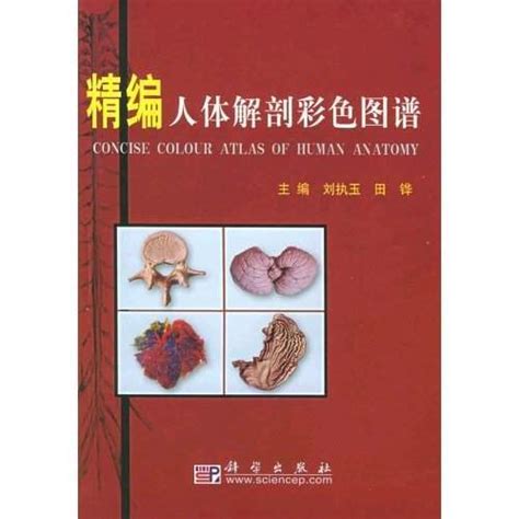 人体解剖彩色图谱图片 人体解剖彩色图谱图片