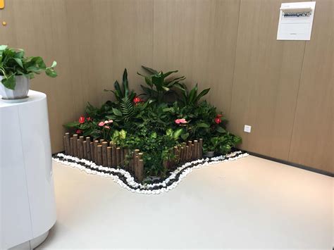 公司花卉大棚产出第一批花卉绿植，鲜彩迷眼！ - 武汉泽安园林工程有限公司