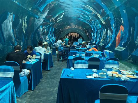 西安首家海底餐厅梦幻起航 与海豚鲨鱼浪漫共舞乐享美食 - 知乎