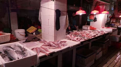 菜市场鱼档图片,市场鱼档图片,菜市场卖鱼图片(第5页)_大山谷图库