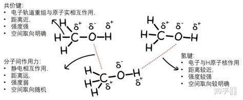 氢键全方位详细介绍_化学自习室（没有学不到的高中化学知识！）