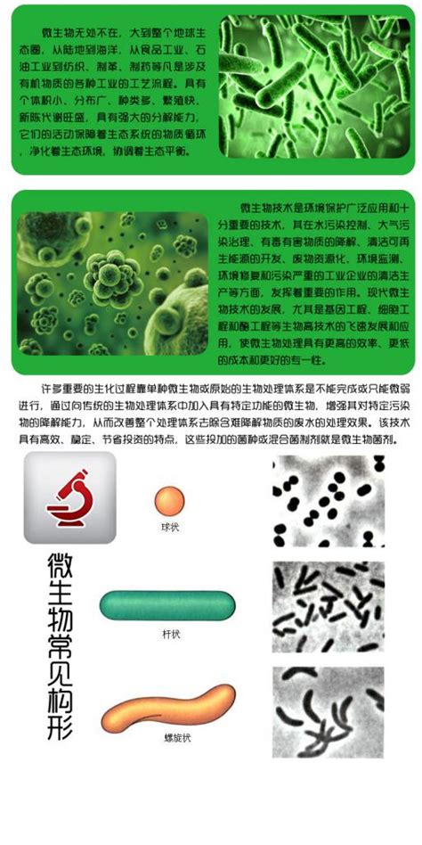 微生物组调控的小分子药物时代_细菌
