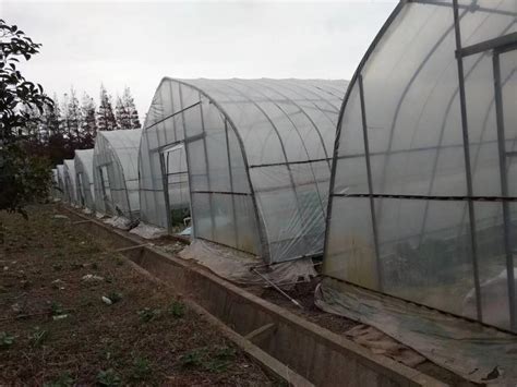 上海市崇明县竖新镇350亩果园转让- 聚土网