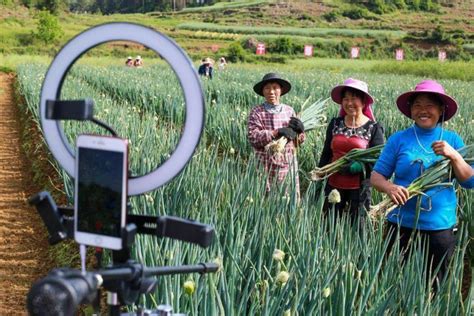 中国农业大学新闻网 媒体农大/科技之窗 助力乡村振兴新模式——平谷“科技小院” 让科技走入田间地头