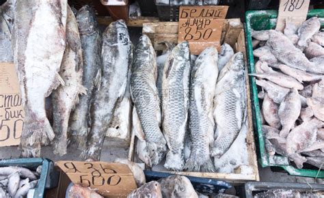 当地市场上的原冻鱼高清图片下载-正版图片303301346-摄图网