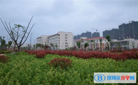 安徽滁州中学2023年网站网址