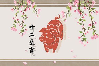 2019年属猪的高姓女宝宝起名大全 -好名字网