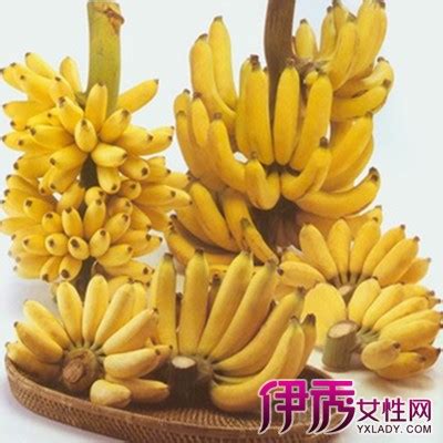 香蕉什么时候吃最好减肥，香蕉什么时候吃通便效果最好 - 鲜淘网
