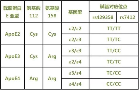 载脂蛋白E（APOE）分型基因检测, 中国,性能参数，报价/价格，图片_生物器材网
