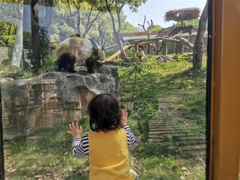 天津动物园：真诚的希望为野生动物保护事业的发展奉献爱心__财经头条