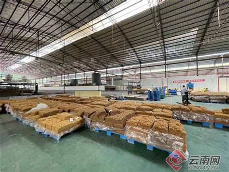 桂林橡机稳外贸再拓“一带一路”蓝海市场_橡塑装备