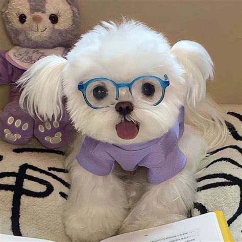 粉色非主流狗头像