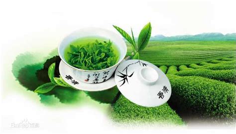 绿茶的功效与作用图册_360百科