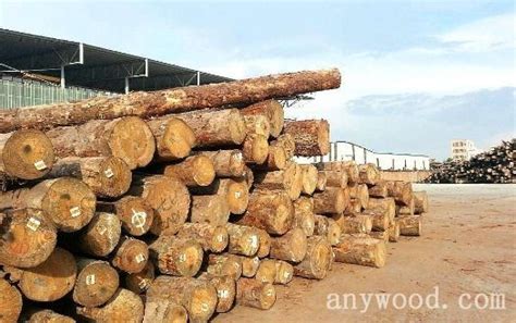 南方港口辐射松原木价格行情【批木网】 - 木材价格 - 批木网