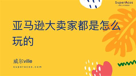 亚马逊2019市场大数据年度盘点_卖家