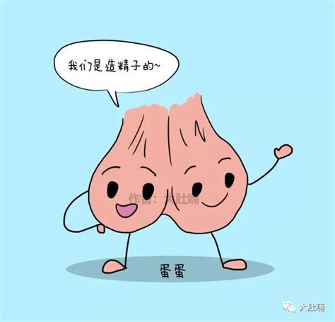 男生的蛋蛋图片