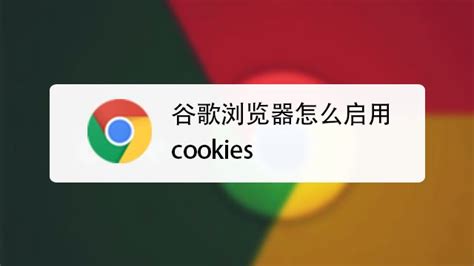 360极速浏览器cookies在哪里cookies查询方法_360新知