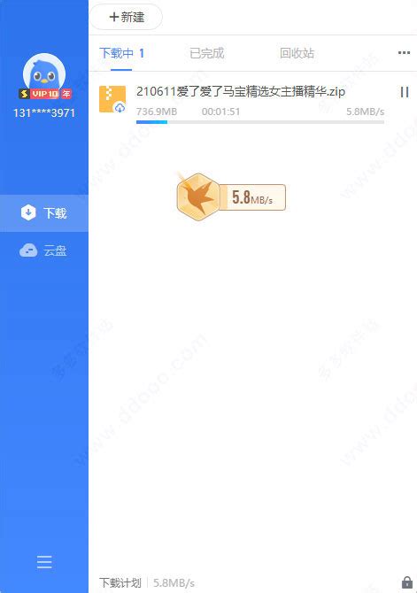 迅雷vip软件下载_迅雷vip应用软件【专题】-华军软件园