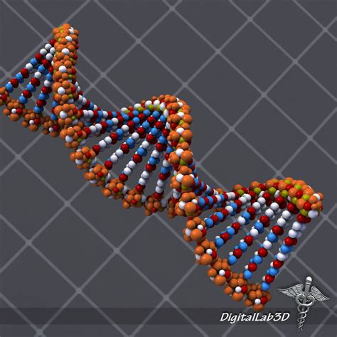 DNA Full Form: Guide for Beginners to Understand What it Is