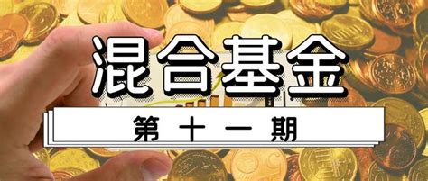 华夏鑫逸优选18个月持有期混合型基金中基金（FOF）